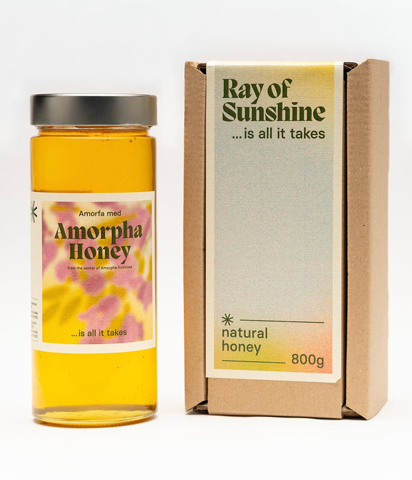 Amorpha Honey: The Wildcard in Your Honey Lineup - Ray Of Sunshine