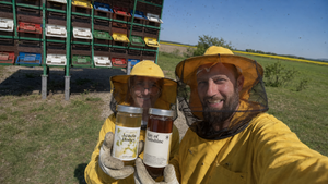 How to Tell if Raw Honey Is Real: A Buyer’s Guide