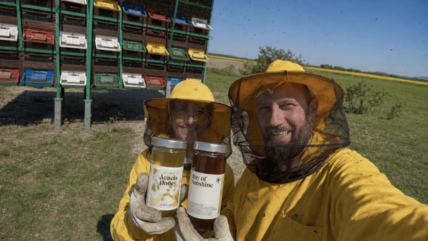 How to Tell if Raw Honey Is Real: A Buyer’s Guide - Ray Of Sunshine