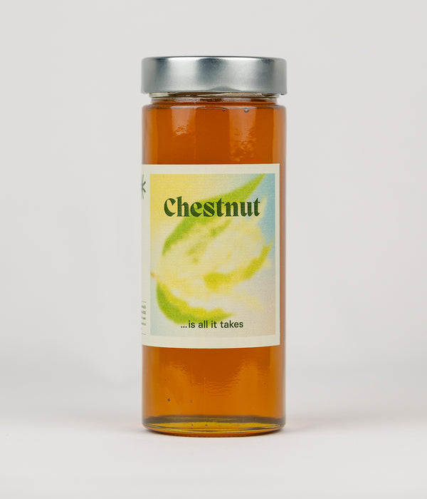 Croatian Liquid Gold: Croatian Chestnut Honey