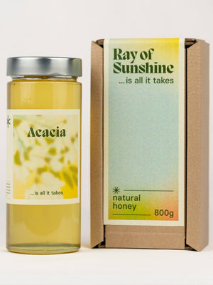 Acacia Honey: Nature’s Sweet Cheat Code - Ray Of Sunshine