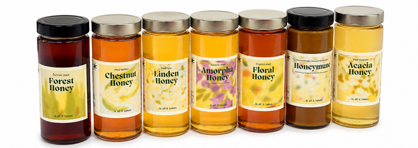 Six glass jars of honey lined up on a white background, featuring different varieties including Forest Honey, Chestnut Honey, Linden Honey, Amorphia Honey, Floral Honey, Honeymoon Honey, and Acacia Honey.

